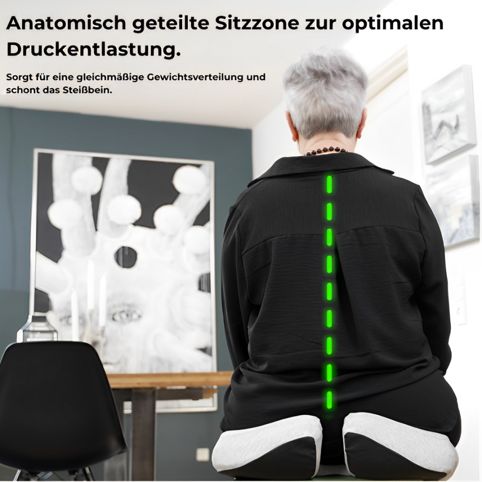 SitzHeld ,TherapieKissen