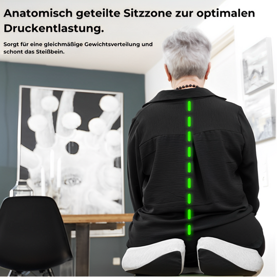 SitzHeld ,TherapieKissen