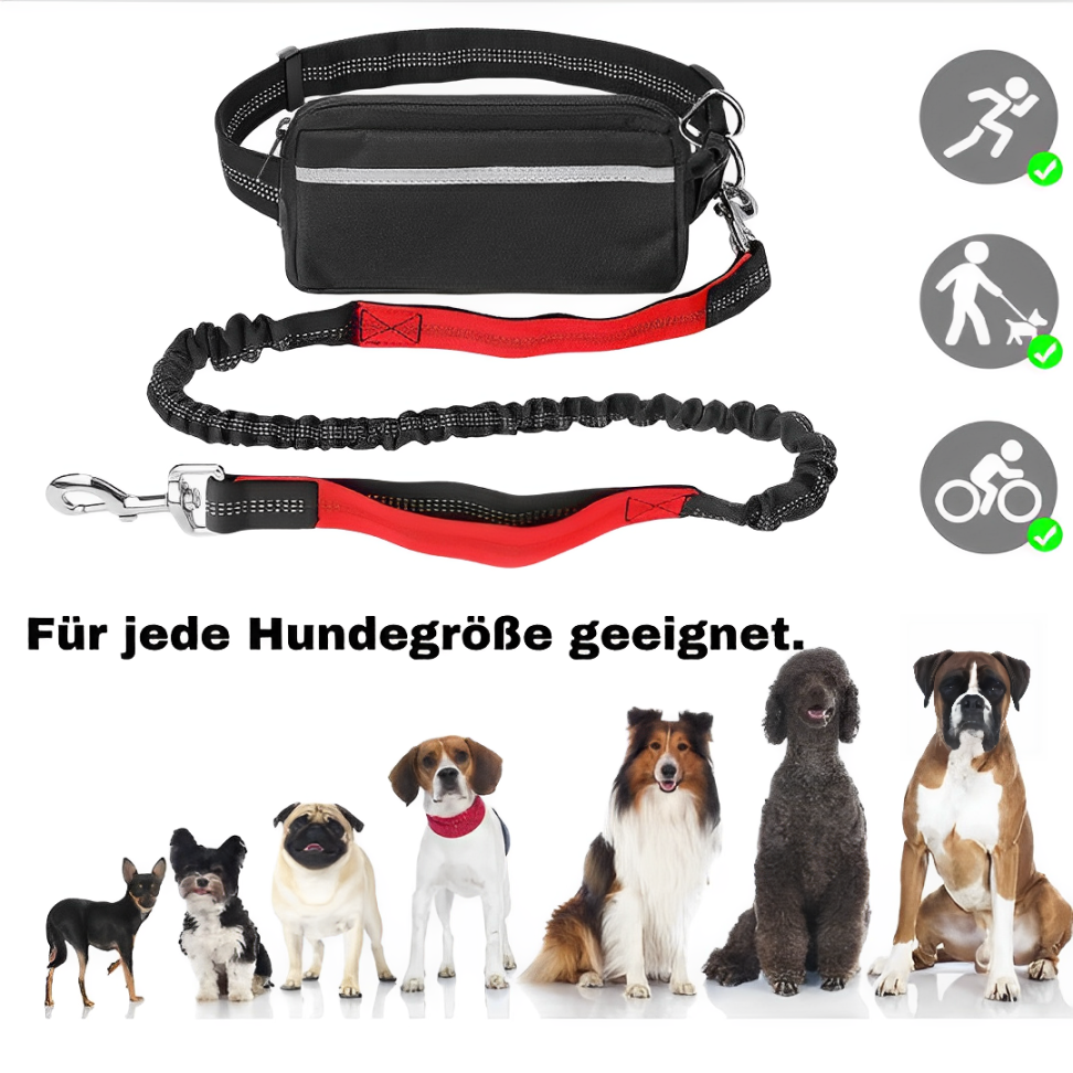 Gassi Gürtel, Die smarte Lösung für Jogger mit Hund