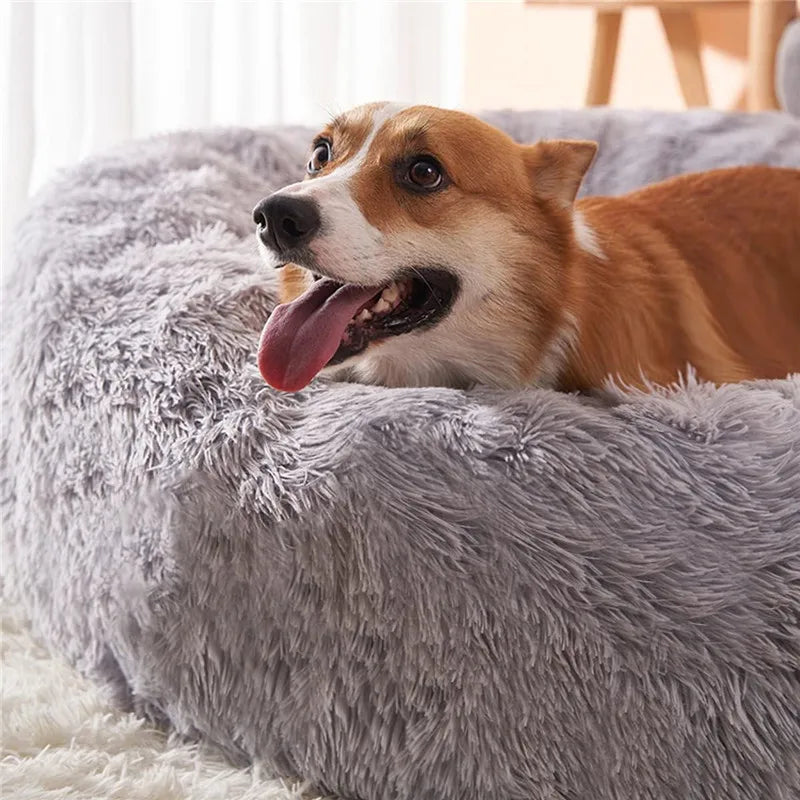 CalmBed – das Hundebett– Wirkt gegen Stress und hilft bei Angstzuständen