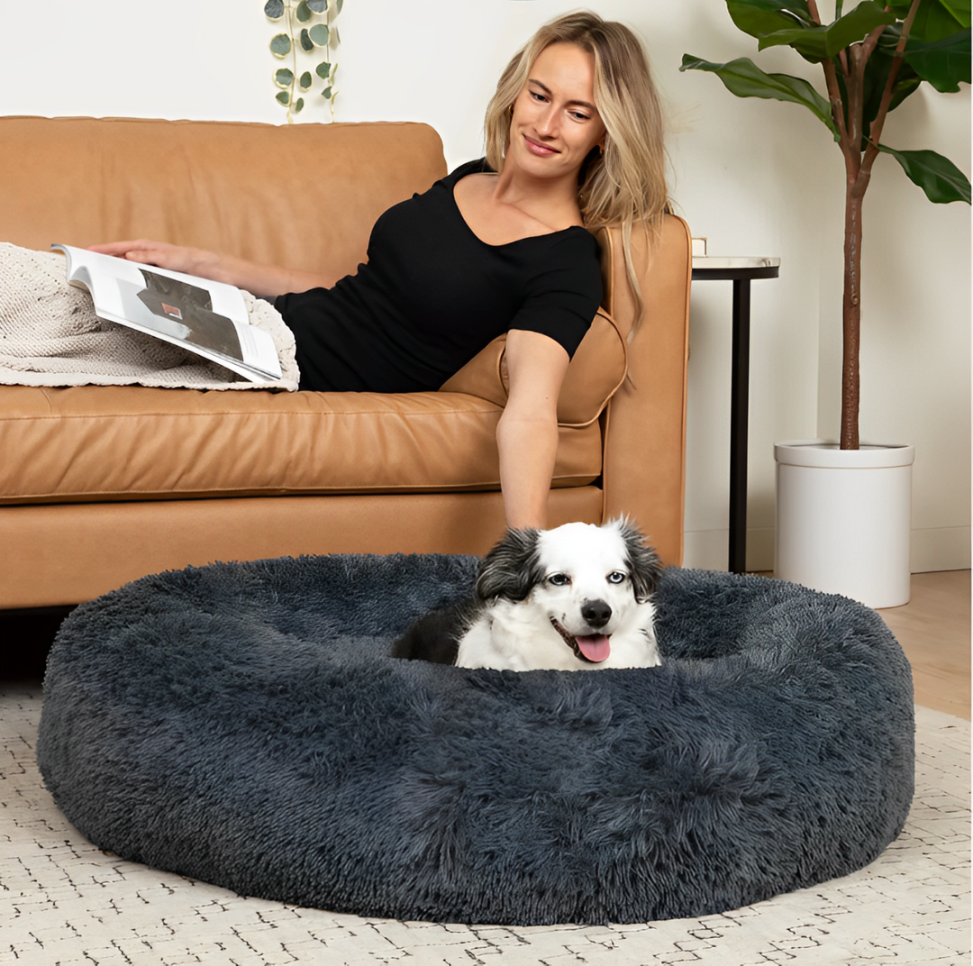 CalmBed – das Hundebett– Wirkt gegen Stress und hilft bei Angstzuständen